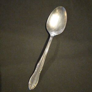 Oneida Stainless Plantation Custom Tablespoon / Serving Spoon-Floral-Discontinue